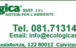 eco21