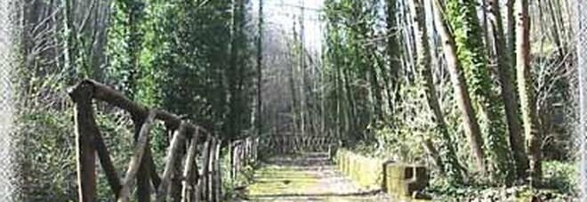 CRO - parco camaldoli
