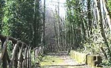 Padre accompagna il figlio 15enne e la fidanzatina al parco a fare sesso