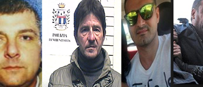 mallardini