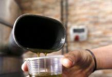 Olio di scarsa qualità spacciato per extravergine, nove indagati