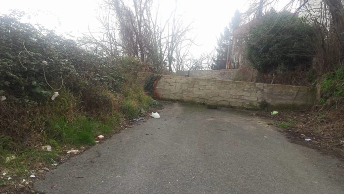 reccaa