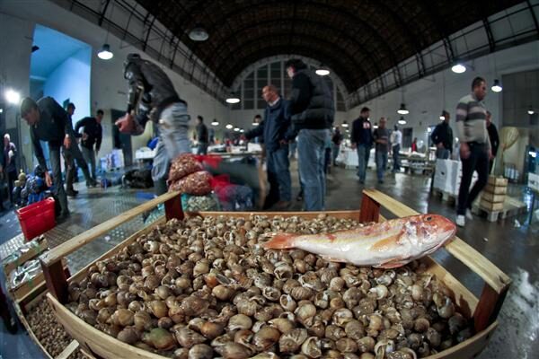 napoli_mercato-del-pesce