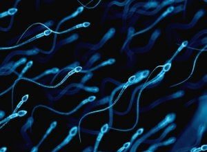Allarme dei medici: spermatozoi in caduta libera