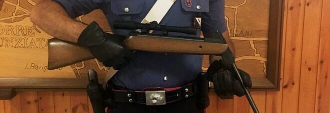 piomb