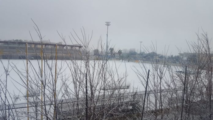neve neve