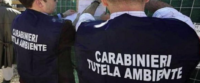 carabinieri-noe-640x267
