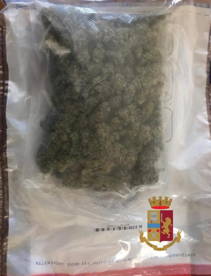 foto_marijuana_logo
