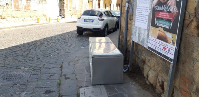 frigo