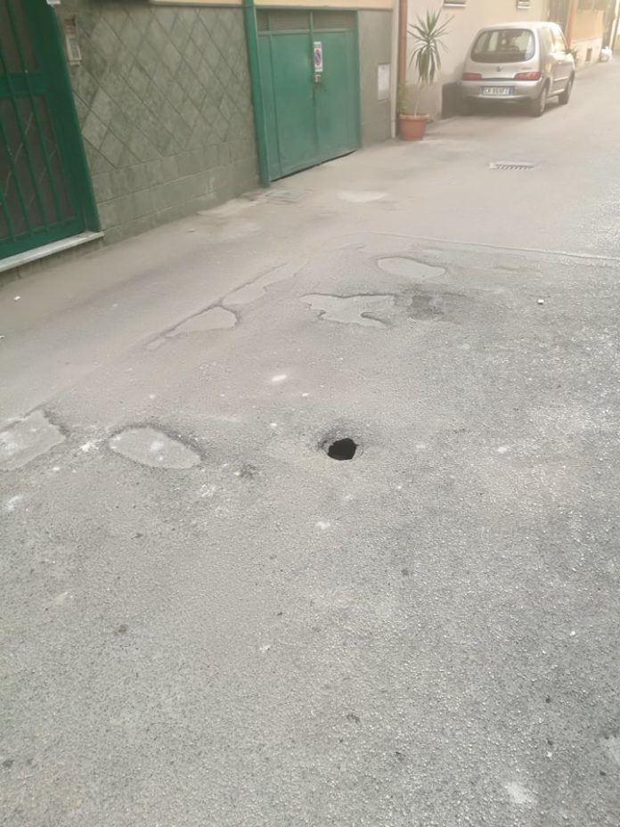 vora