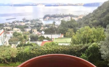 “Andar per cantine”, ecco il coniglio day: Ischia celebra il piatto della tradizione