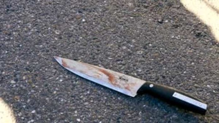 rissa