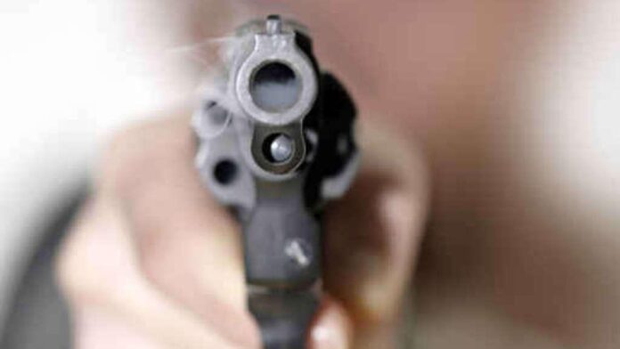 pistola