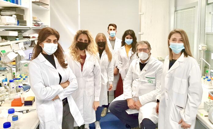zollo group foto