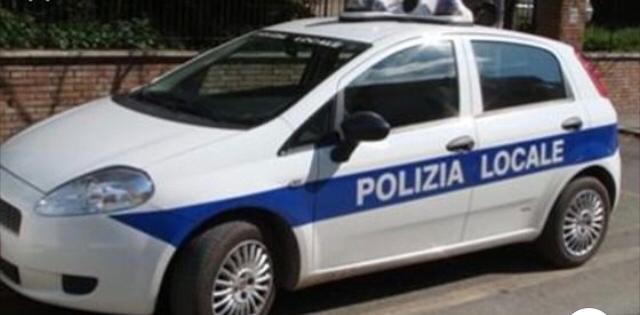 casandrino