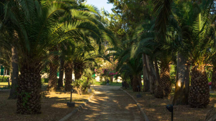 parco-del-fusaro-9139004