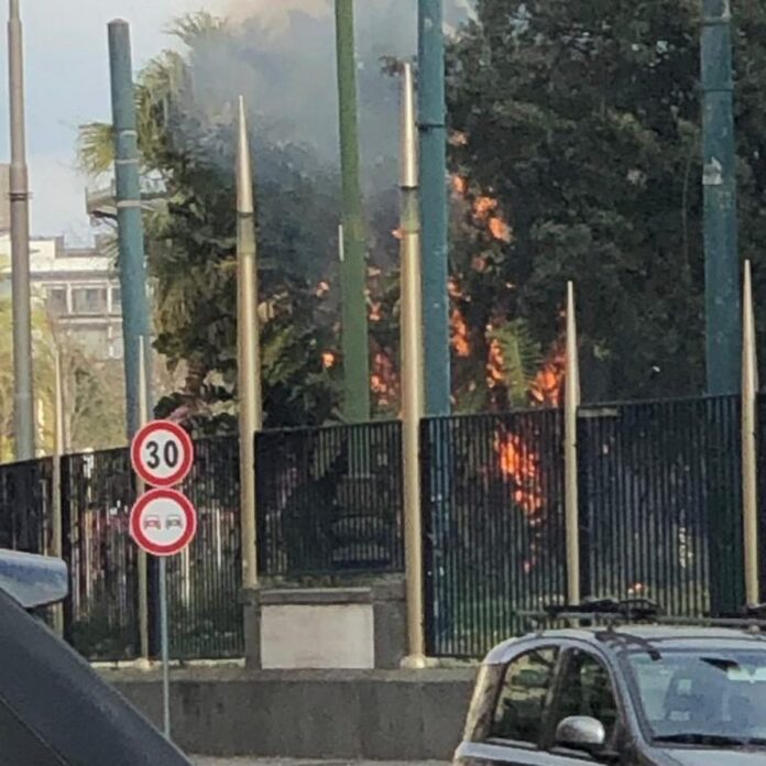 incendio-villa-comunale-napoli-1553621423910-1200x1200