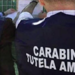 Traffico rifiuti tra Napoli e la Puglia: maxi blitz dei carabinieri: 19 misure cautelari