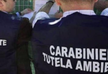 Traffico rifiuti tra Napoli e la Puglia: maxi blitz dei carabinieri: 19 misure cautelari