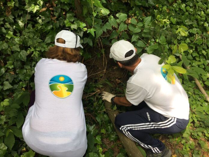 Raccolta rifiuti e ripiantumazione per i volontari de La Via della Felicità 2