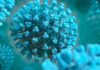 Virus Shamonda, Lopalco: “È favorito da crisi climatica, svegliamoci”