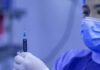 Vaccini negli allevamenti: il divieto di esportare