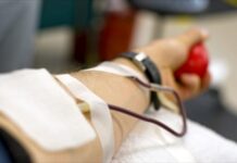 Testimoni di Geova, svolta sulle trasfusioni di sangue: cade il divieto dopo le accuse di “strage silenziosa”