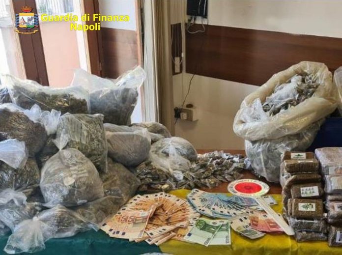 guardia di finanza