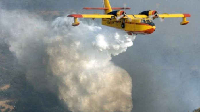 incendi-boschivi-1280x720