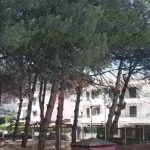 Pineta dimenticata dietro l’ASL di Marano: i residenti chiedono interventi contro degrado e incuria