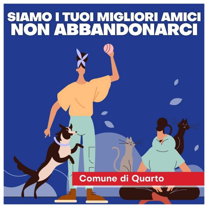 animali quarto