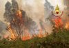 Marano, avviata campagna antincendio boschivo: ad oggi 112 contravvenzioni