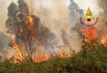 Marano, avviata campagna antincendio boschivo: ad oggi 112 contravvenzioni