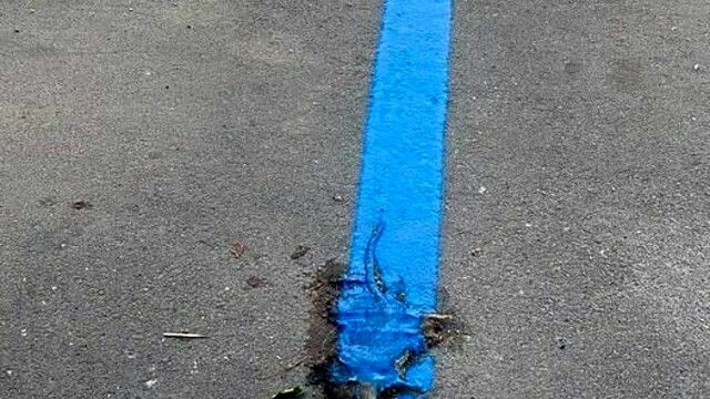 strisce blu topo-2