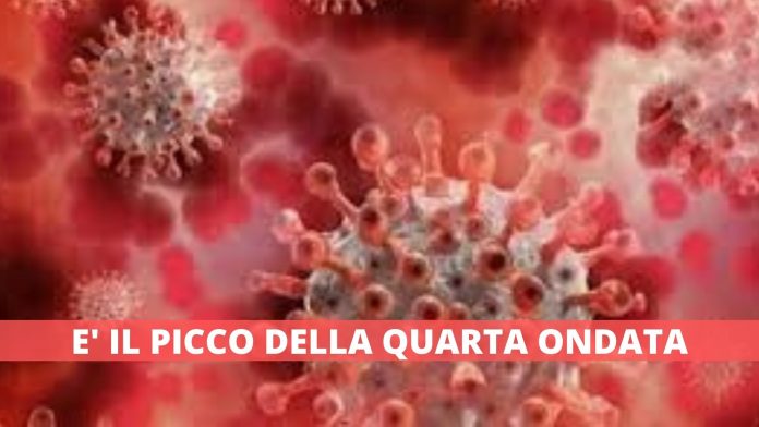 PICCO QUARTA ONDATA