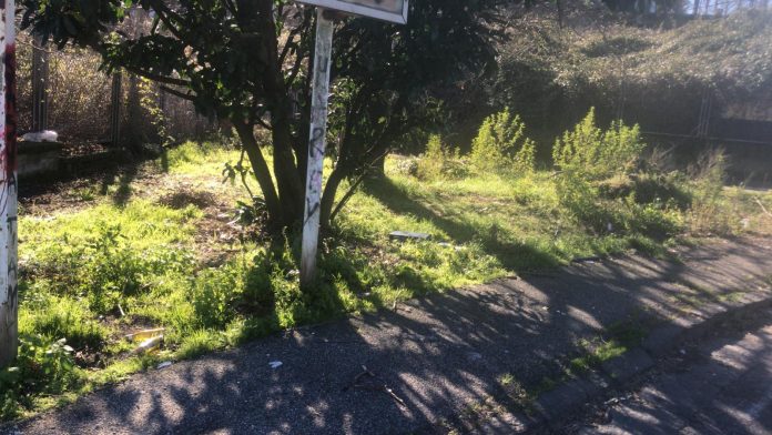 La Via della Felicità Camaldoli 1