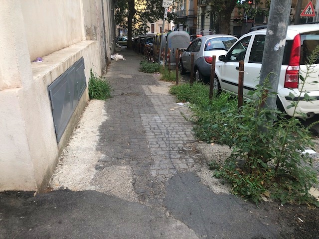 Vomero, via San Gennaro al Vomero, erbacce
