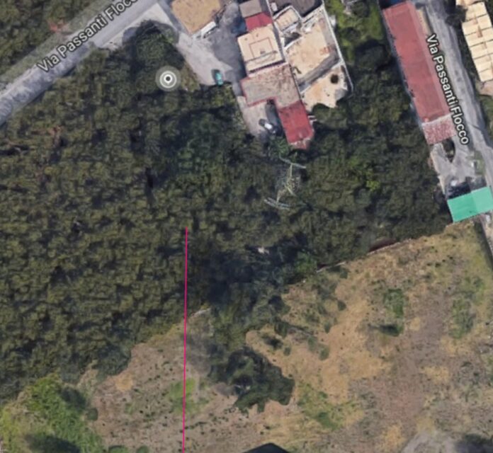 parco_boscoreale