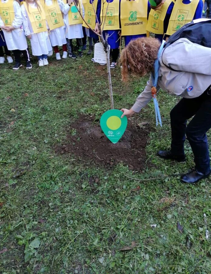 piantumazione alberi 2 (1)