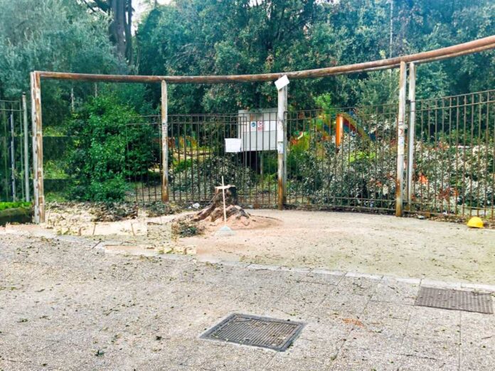 Napoli, parco Mascagna, albero abbattuto all'ingresso su via Bertini