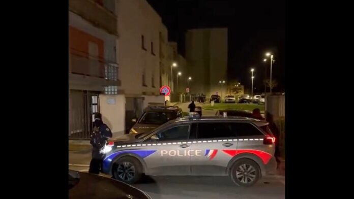 omicidio-madre-figli-meaux-video-twitter