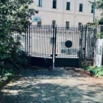Napoli: salviamo il platano ultracentenario di villa Floridiana