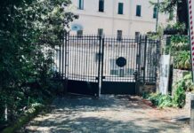 Napoli: salviamo il platano ultracentenario di villa Floridiana