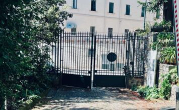 Napoli: salviamo il platano ultracentenario di villa Floridiana