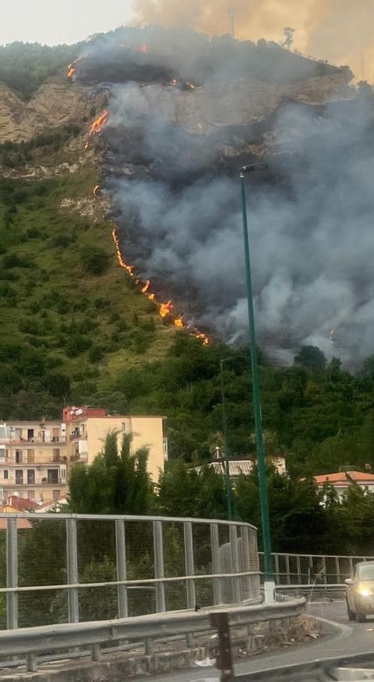 colli