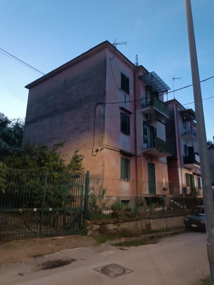 palaz