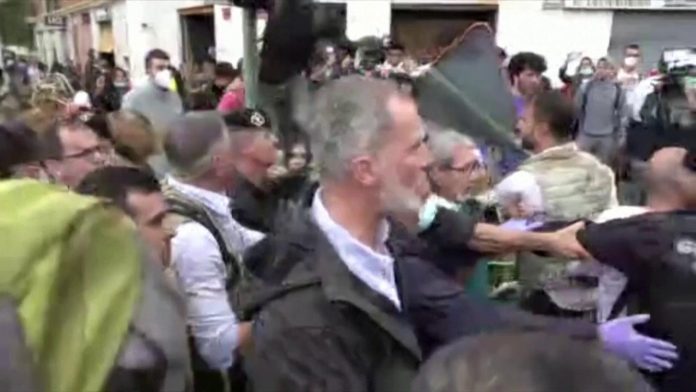 feli