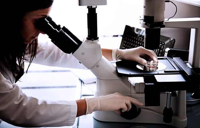 ISF RICERCA SCIENTIFICA