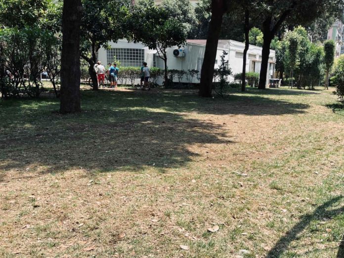 Napoli, parco Mascagna, aiuola ingiallita