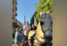 il sindaco vince e si fa trainare da un cavallo: esplode la rissa col capo dei vigili